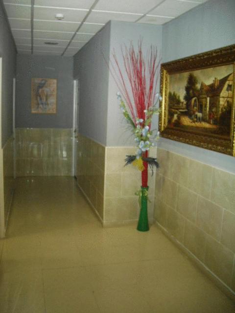 ולייה דה סן אנטוניו Hostal Ds מראה חיצוני תמונה